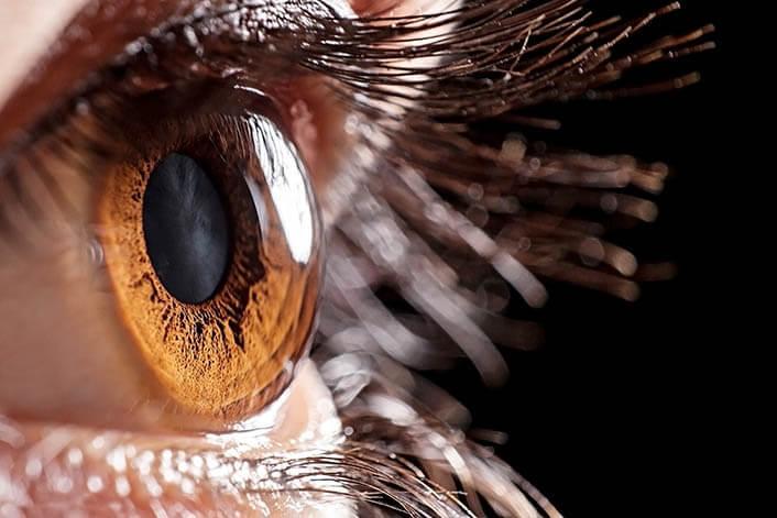 Comprehensive Eye Examination
